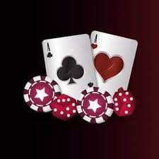 8555bet